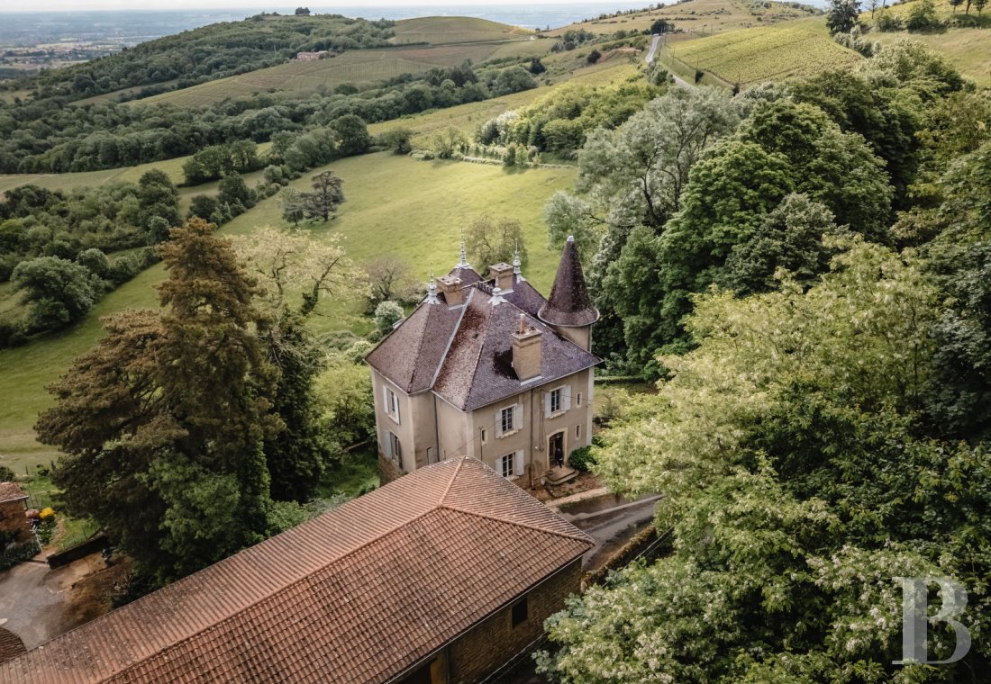 chateaux for sale France rhones alps   - 2