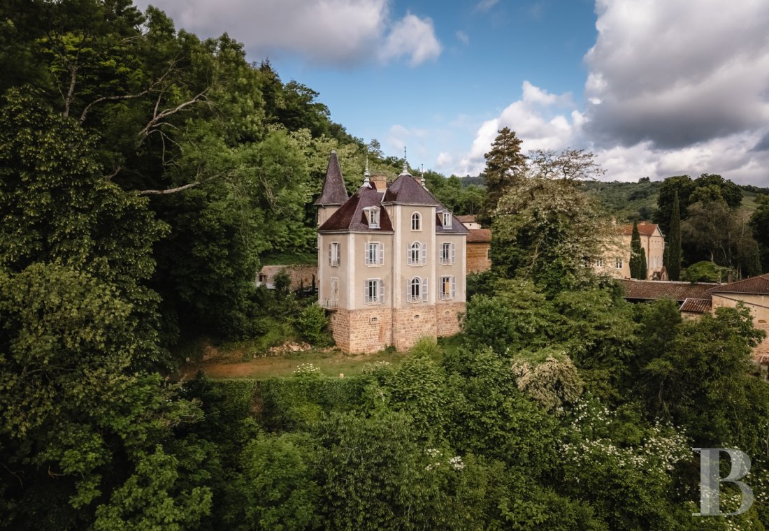 chateaux for sale France rhones alps   - 1