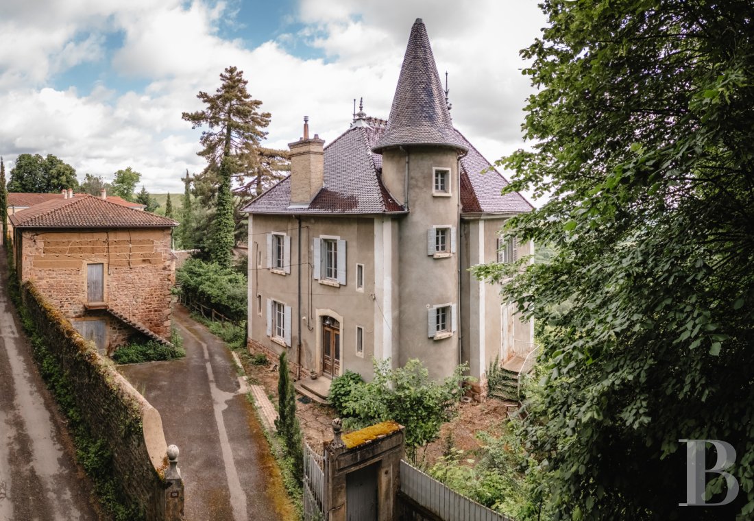 chateaux for sale France rhones alps   - 3