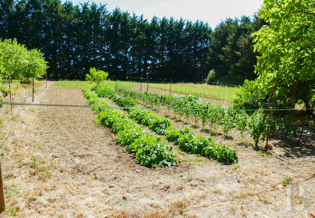 belles demeures poitou charentes   - 13