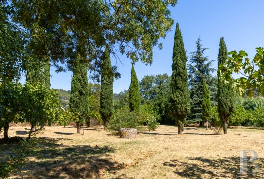 maisons de caractere a vendre paca   - 22