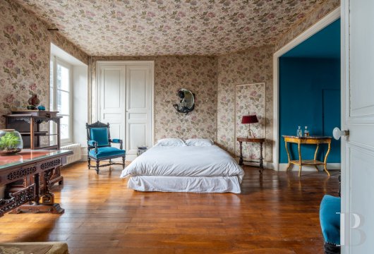 mansion houses for sale France center val de loire   - 15