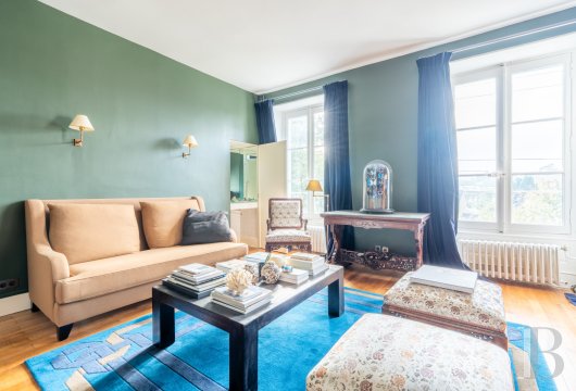 mansion houses for sale France center val de loire   - 13