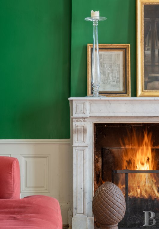 mansion houses for sale France center val de loire   - 10