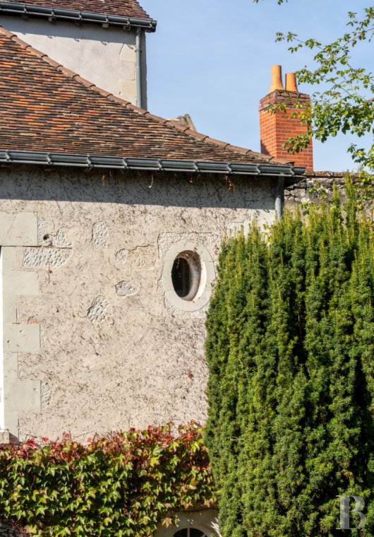 mansion houses for sale France center val de loire   - 19