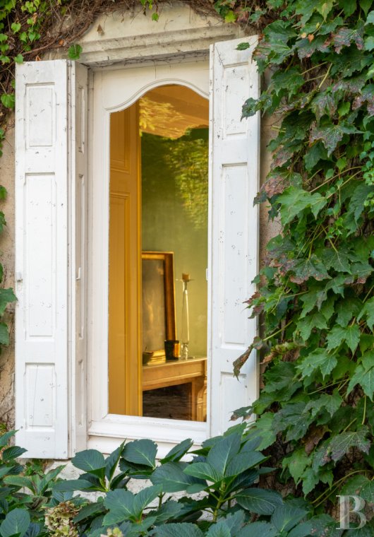 mansion houses for sale France center val de loire   - 4