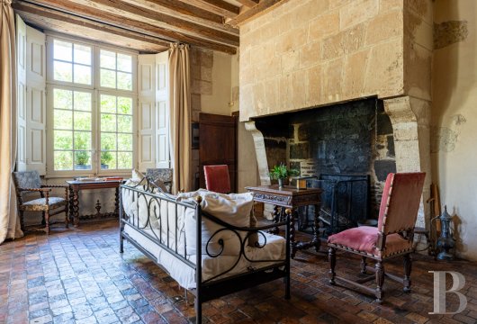 castles for sale France center val de loire   - 11