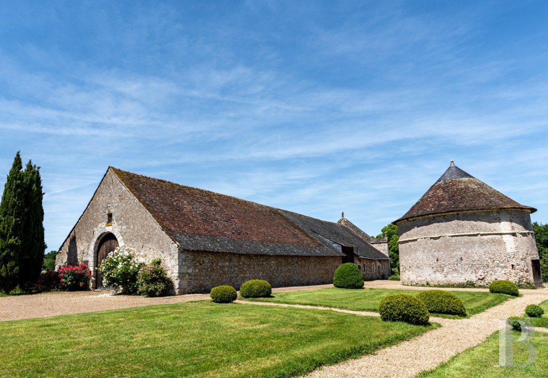 castles for sale France center val de loire   - 15