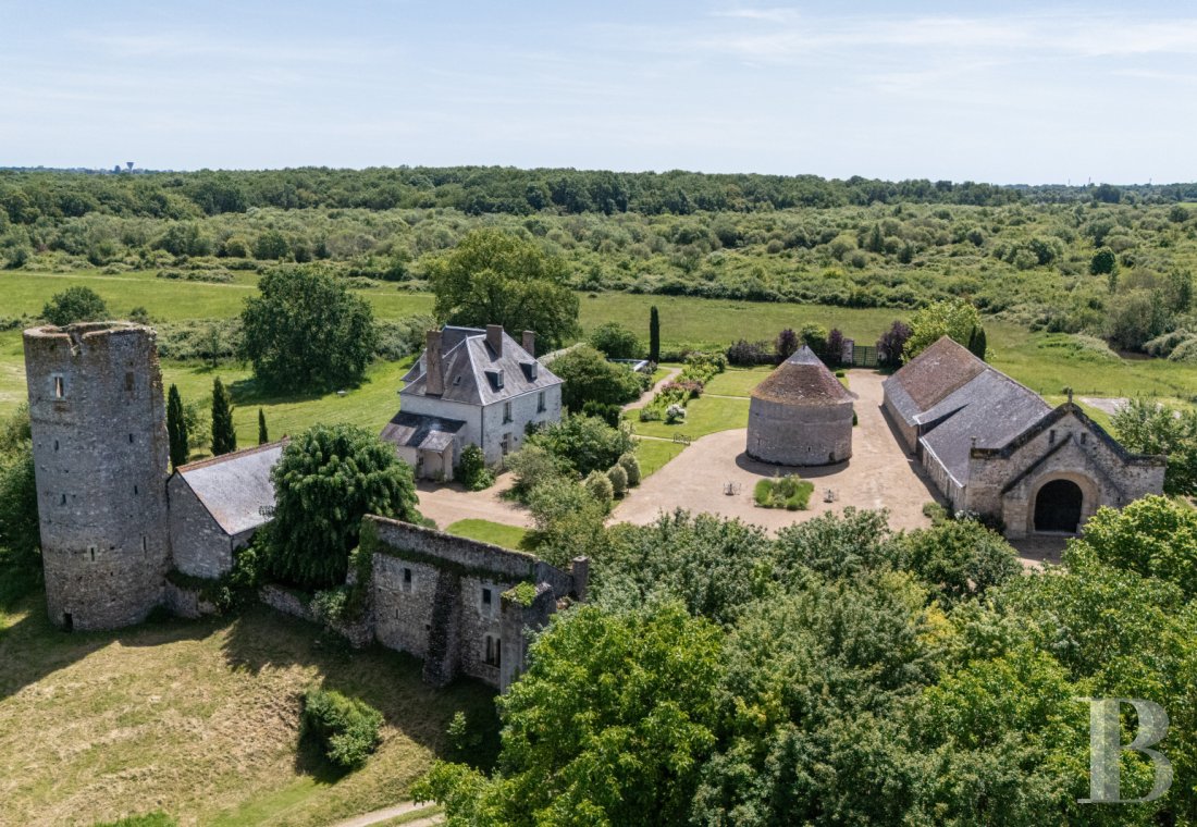 castles for sale France center val de loire   - 1