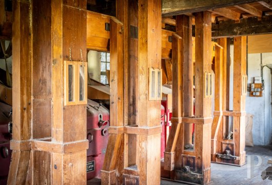 midi-pyrenees - Dans le Gers, avec vue sur les Pyrénées, une minoterie en eau entourée de 10 ha de terres