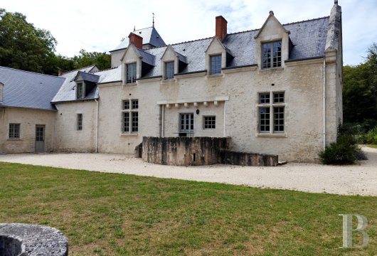 chateaux a vendre centre val de loire   - 5
