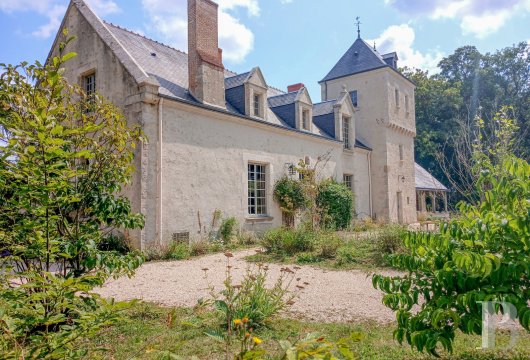 chateaux a vendre centre val de loire   - 3