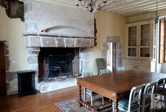 chateaux a vendre centre val de loire   - 8