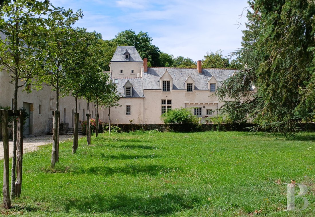 chateaux a vendre centre val de loire   - 1