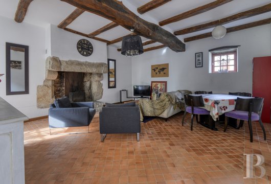 France mansions for sale pays de loire   - 25