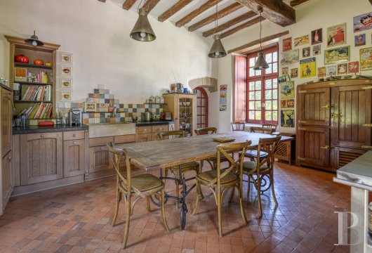 France mansions for sale pays de loire   - 14
