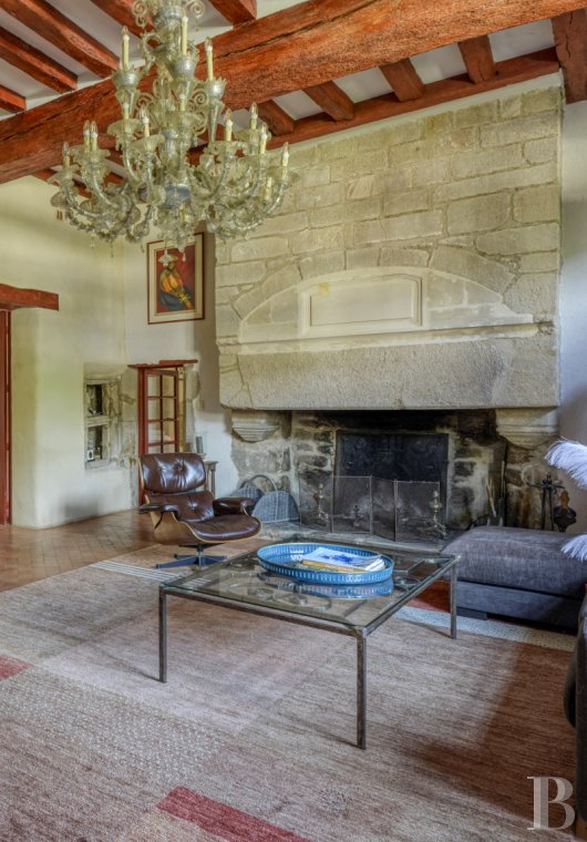 France mansions for sale pays de loire   - 11