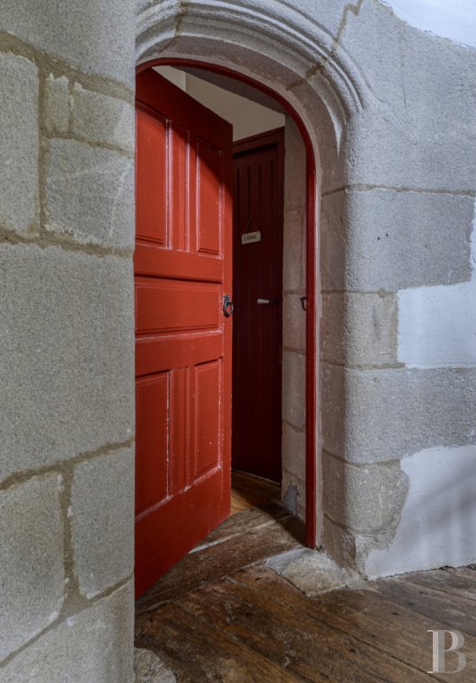 France mansions for sale pays de loire   - 18