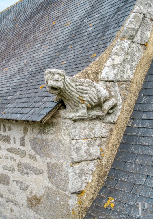 France mansions for sale pays de loire   - 7