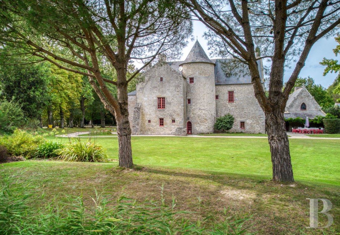 France mansions for sale pays de loire   - 3
