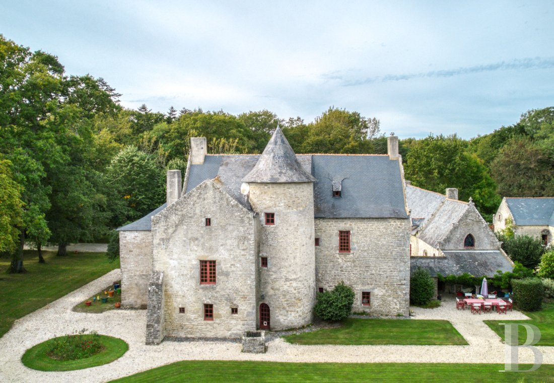 France mansions for sale pays de loire   - 1
