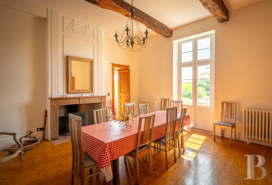chateaux for sale France aquitaine   - 7