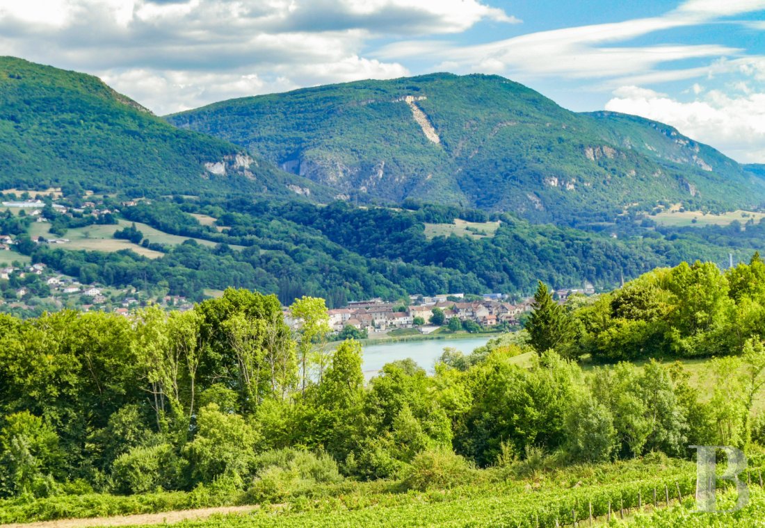 maisons de caractere a vendre rhones alpes   - 15
