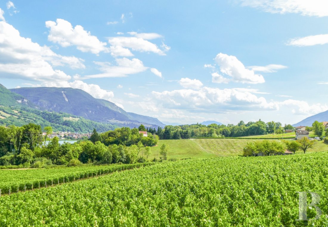 maisons de caractere a vendre rhones alpes   - 14