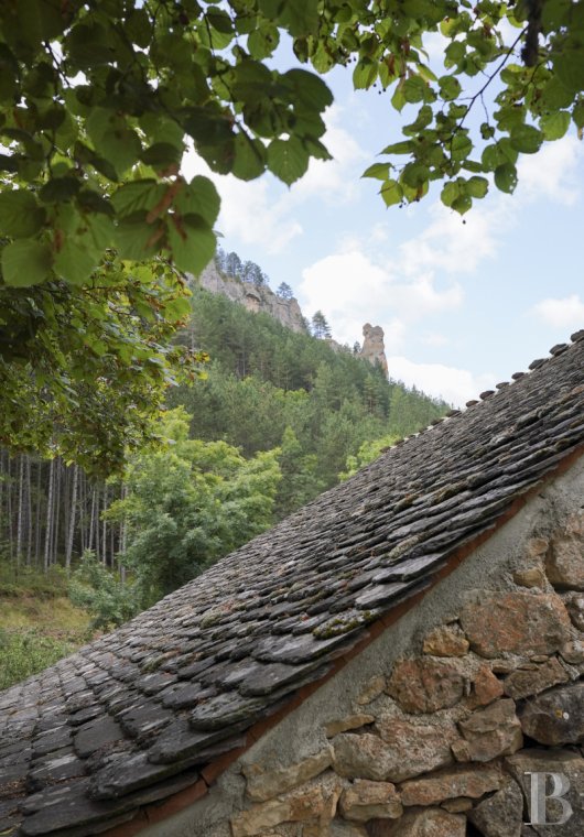 mills for sale France languedoc roussillon   - 6