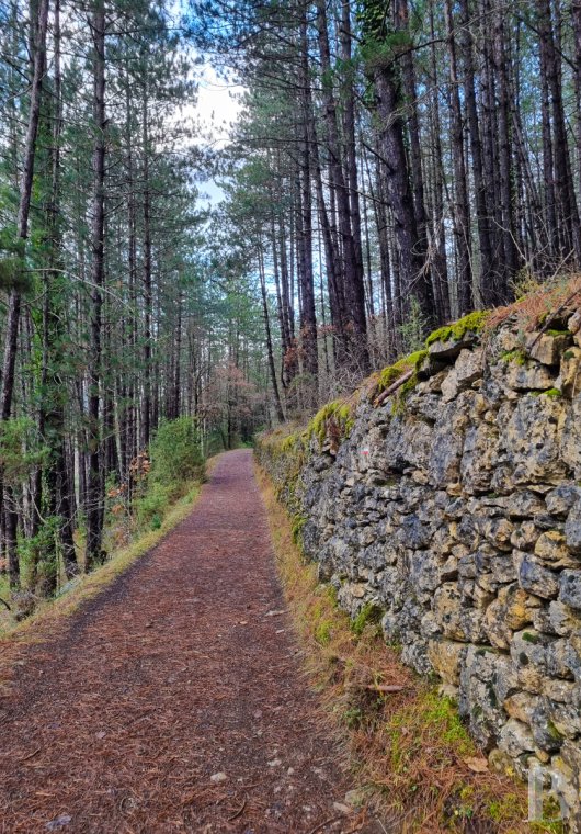 mills for sale France languedoc roussillon   - 8