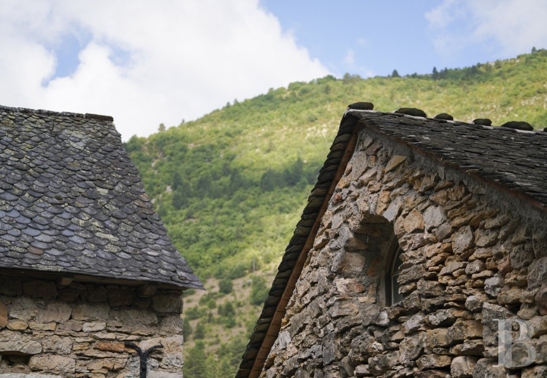 mills for sale France languedoc roussillon   - 5