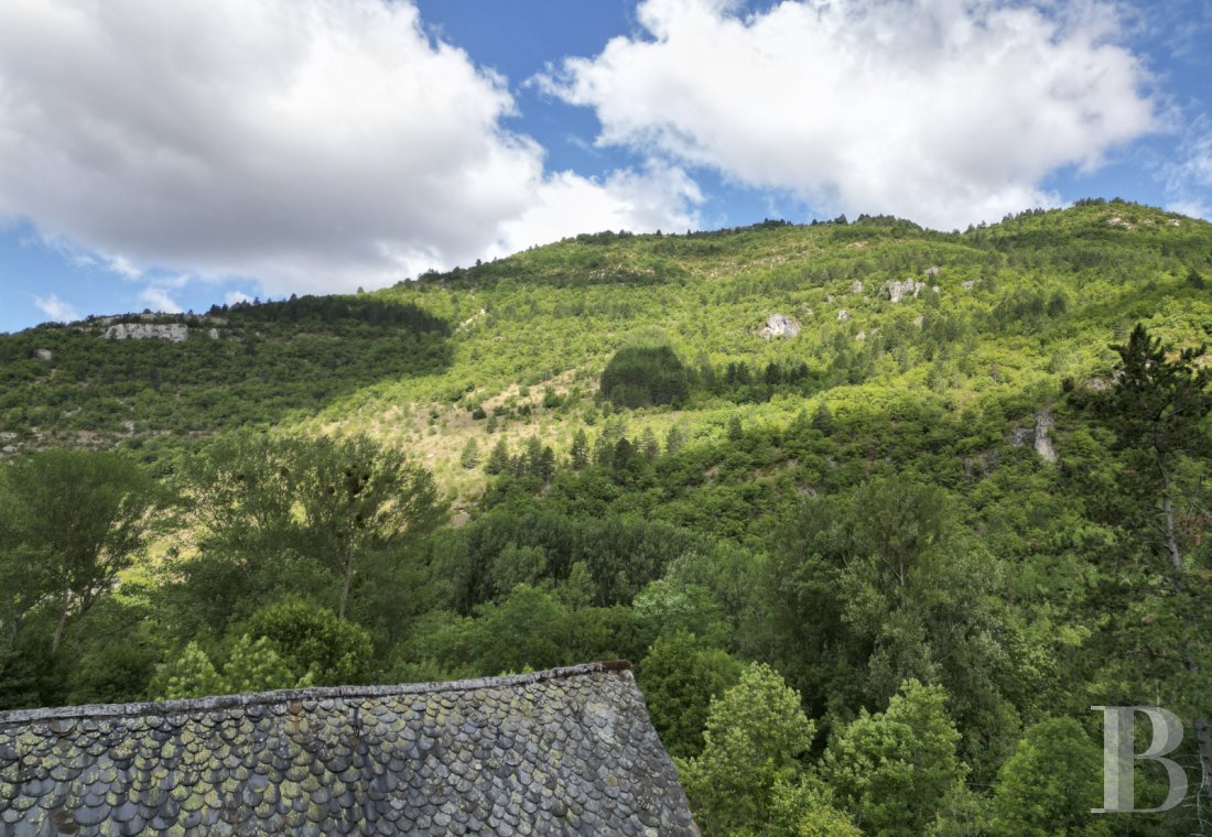 moulins a vendre languedoc roussillon   - 12