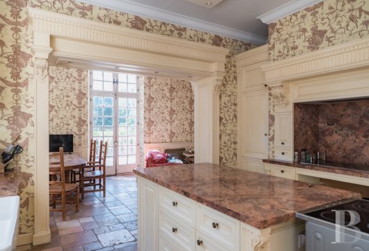 France mansions for sale ile de france   - 5