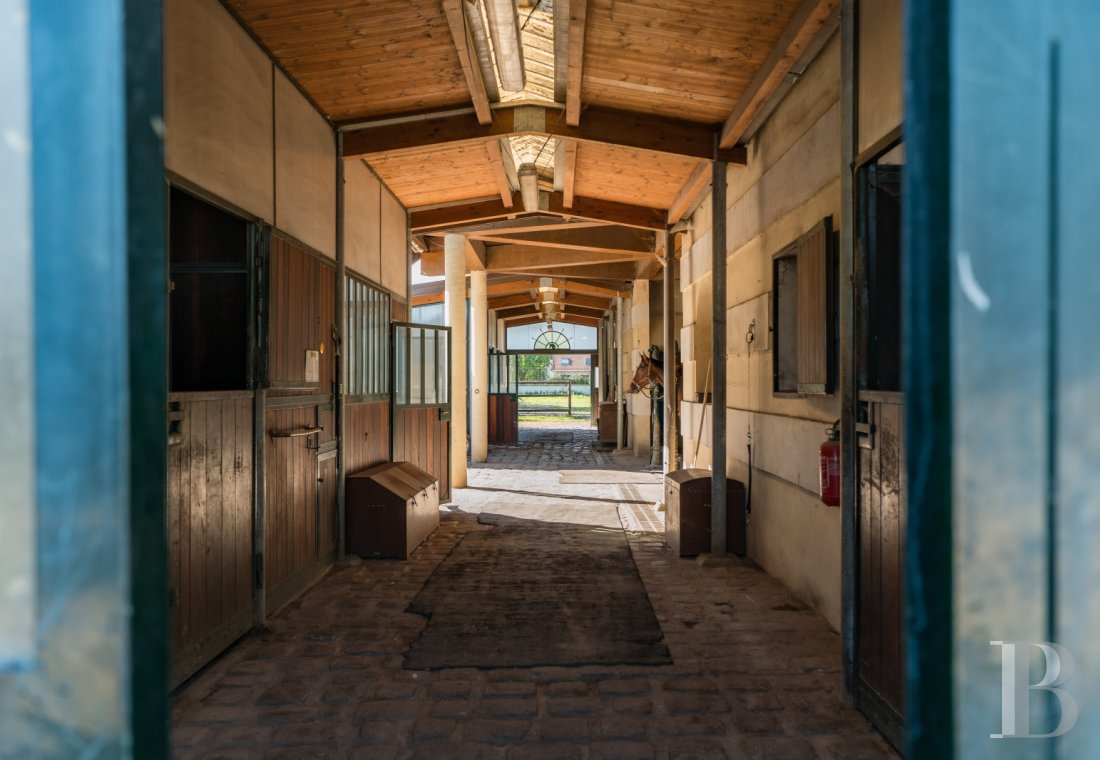 France mansions for sale ile de france   - 18