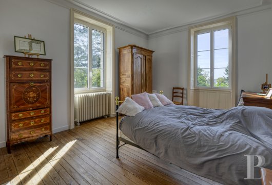chateaux for sale France pays de loire   - 13