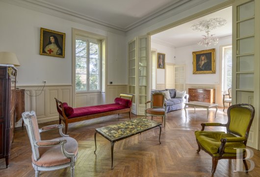 chateaux for sale France pays de loire   - 7