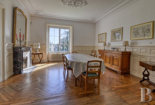 chateaux for sale France pays de loire   - 8