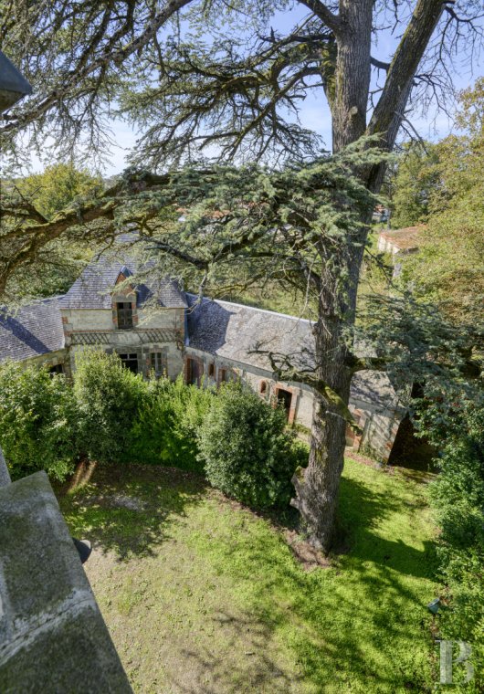 chateaux for sale France pays de loire   - 17