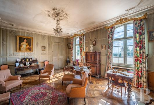 chateaux for sale France poitou charentes   - 9