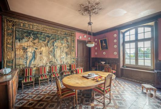 chateaux for sale France poitou charentes   - 10