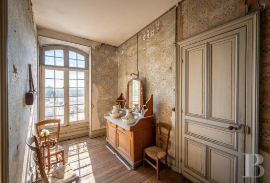 chateaux for sale France poitou charentes   - 14