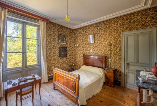 chateaux for sale France poitou charentes   - 13