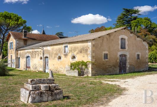 chateaux for sale France poitou charentes   - 20