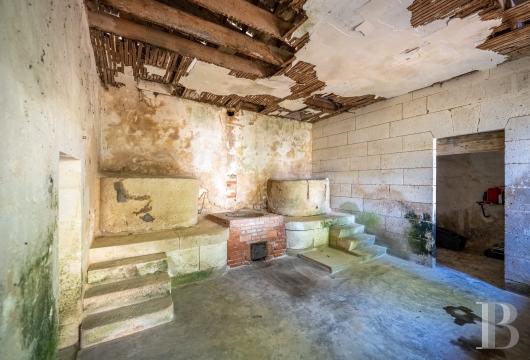chateaux for sale France poitou charentes   - 17