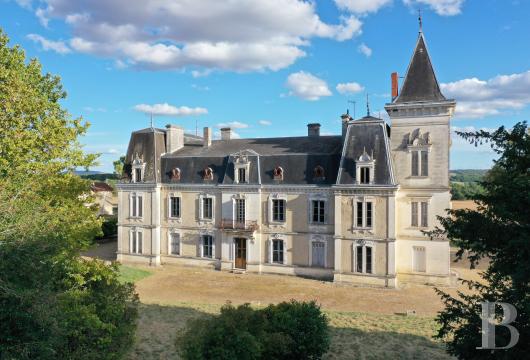 chateaux a vendre poitou charentes   - 5