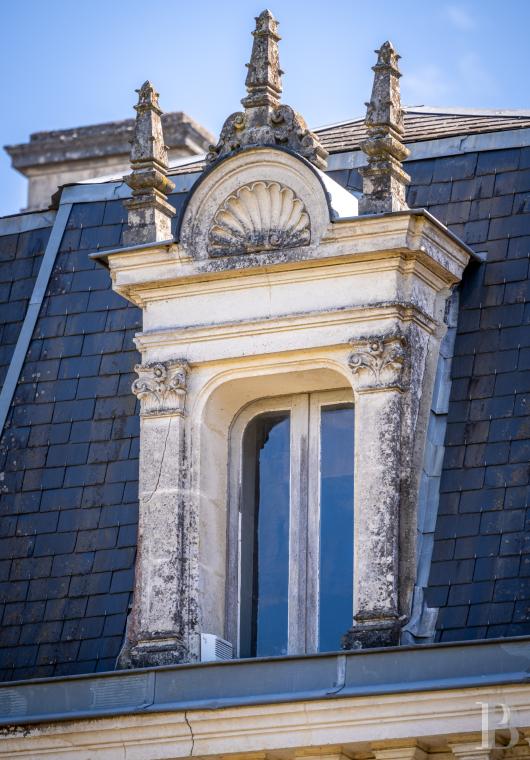 chateaux for sale France poitou charentes   - 4