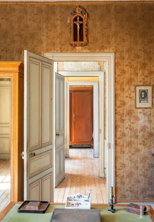 chateaux for sale France poitou charentes   - 16