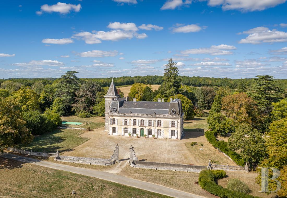 chateaux for sale France poitou charentes   - 1
