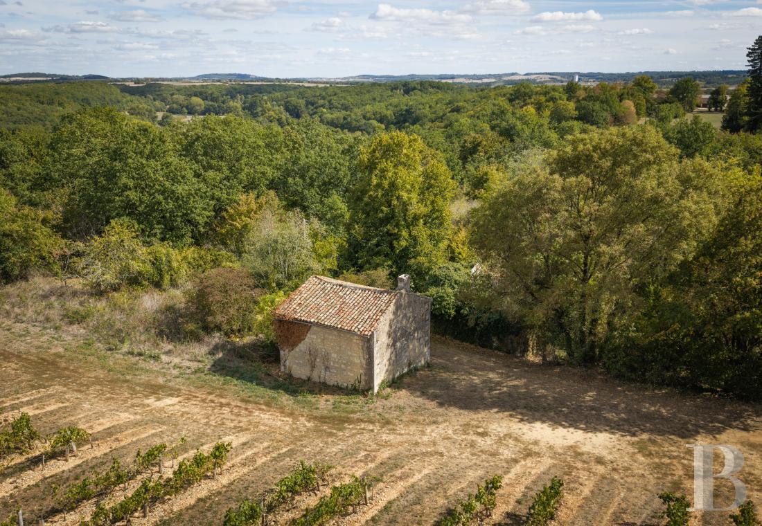 chateaux for sale France poitou charentes   - 22