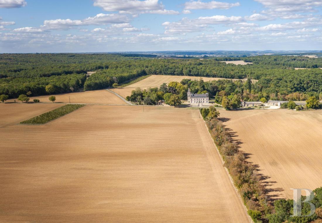 chateaux for sale France poitou charentes   - 23